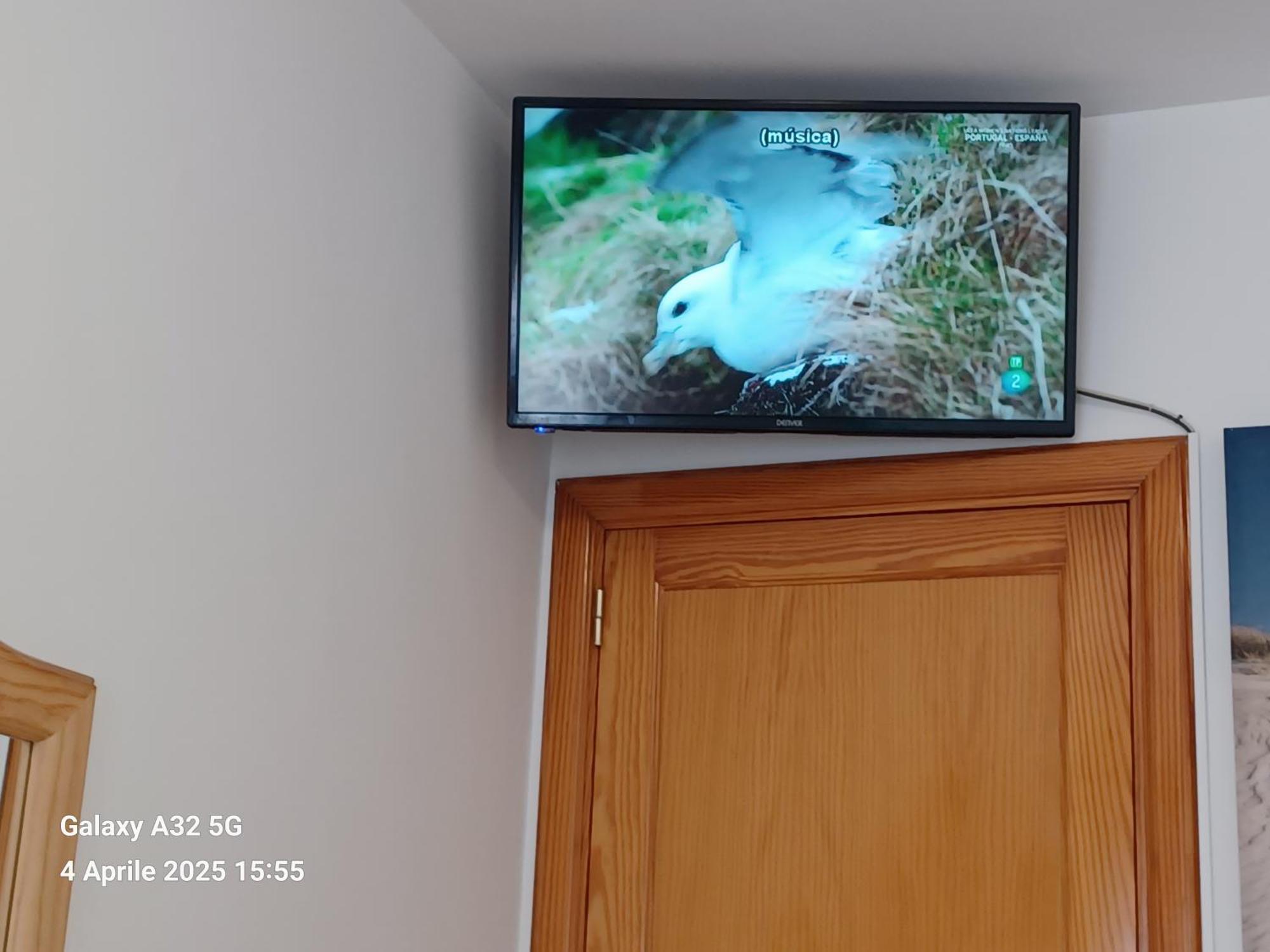פוארטו דל רוסריו Habitaciones Gioly מראה חיצוני תמונה